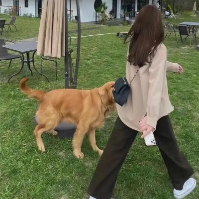 盲拳鬼手